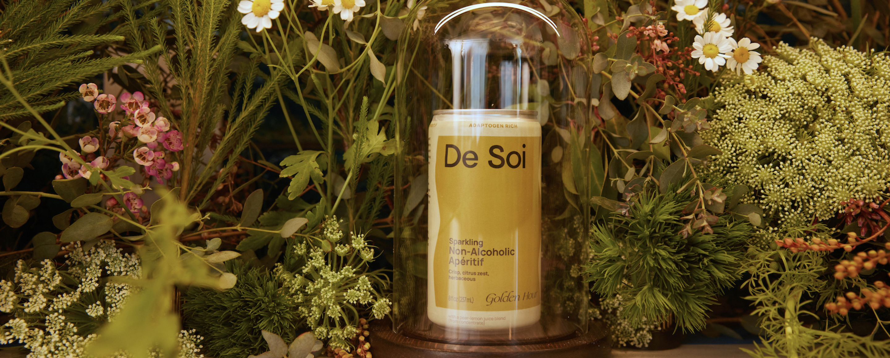 De Soi