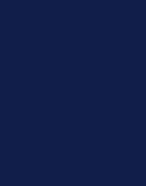 de soi brand color-navy